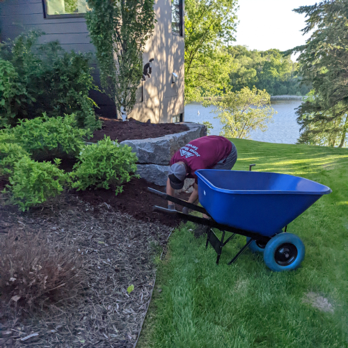 Mulch Spreading Mulch Installation Installing Mulch Mulch Topdressing Top Dressing Mulch Remulch Remulching Mulch Refreshing Mulching Mulch Bed Hardwood Mulch Western Red Cedar Minnesota MN Landscaping Mulch Services Twin Cities Metro Area South Metro Mulch For Sale Mulch Delivery Bulk Wood Chips Bark Mulch Company Jones Mulch Service   White Bear Lake Stillwater Lake Elmo