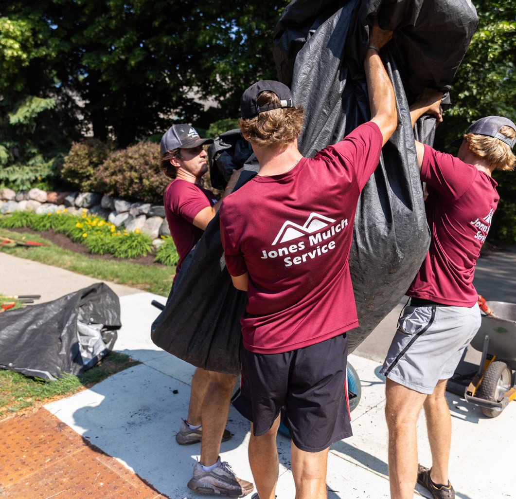 ?????????????????????????????