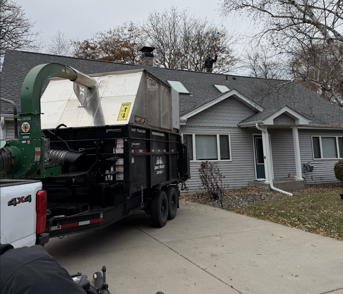 Screenshot 2026-02-04 at 9.56.32 AM